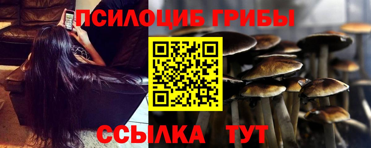 Галлюциногенные грибы GOLDEN TEACHER Минеральные Воды