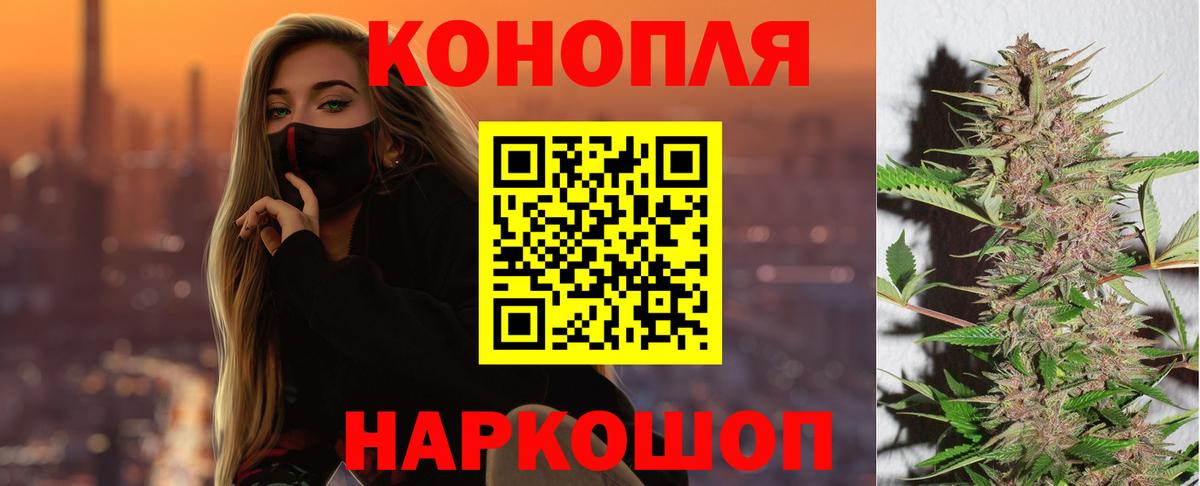 Канабис сатива Минеральные Воды